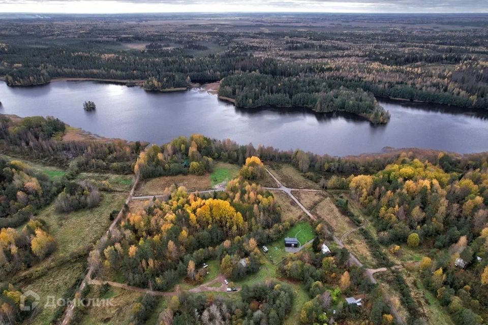 земля р-н Приозерский пос. Студёное фото 2