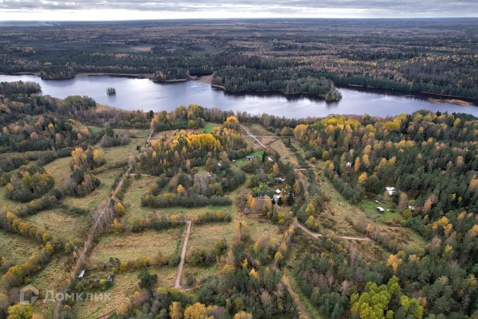 земля р-н Приозерский пос. Студёное фото 4