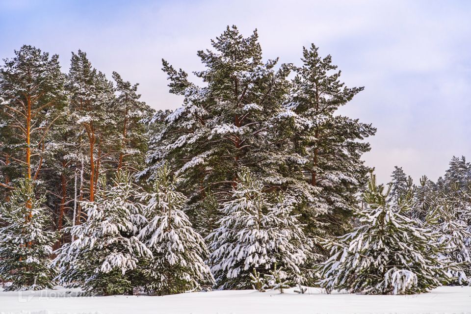 земля городской округ Ступино ТСН Шелково фото 8