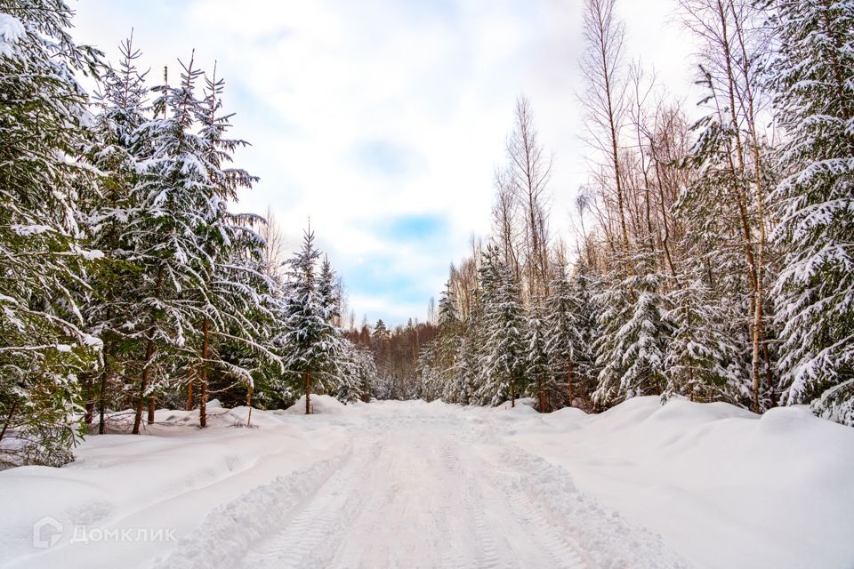 земля городской округ Ступино д Шелково Коттеджный посёлок Shelkovo Forest фото 8