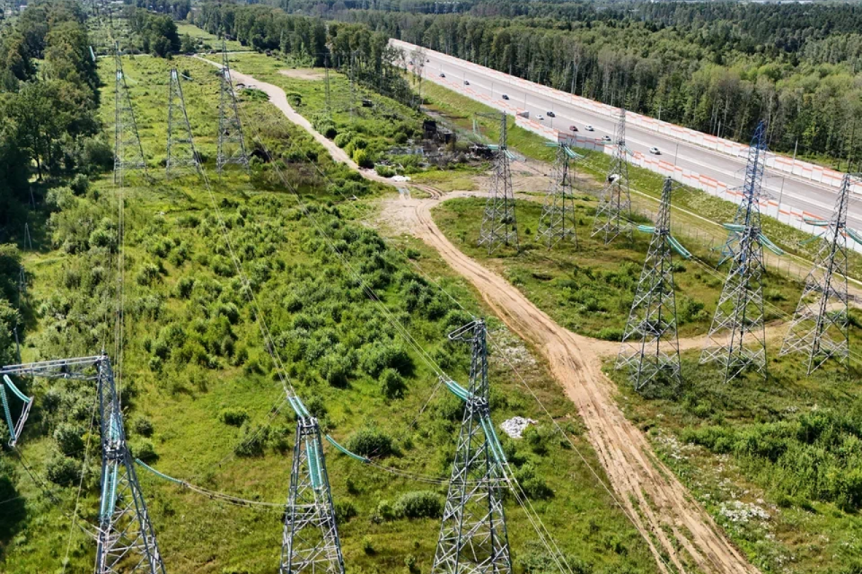 земля г Электросталь Электросталь городской округ, СНТ Полянка фото 8