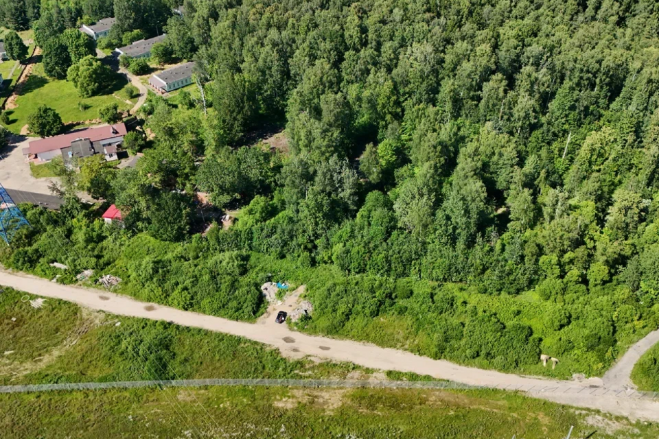 земля г Электросталь Электросталь городской округ, СНТ Полянка фото 6