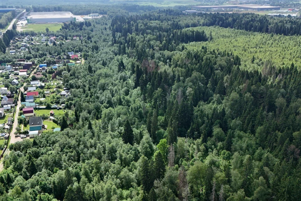 земля городской округ Солнечногорск д. Хоругвино фото 10