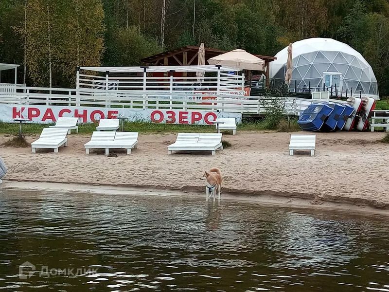 земля р-н Приозерский д Светлое ул Центральная фото 5