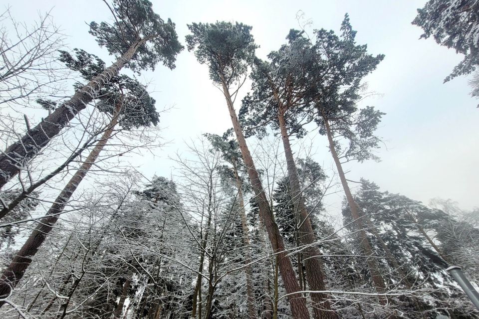 земля г Королев ул Калинина 17 Королёв городской округ фото 5