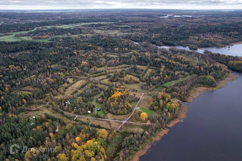 земля р-н Приозерский пос. Студёное фото 5