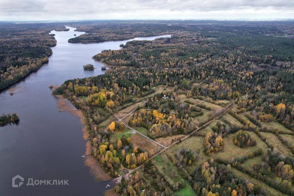 земля р-н Приозерский пос. Студёное фото 8