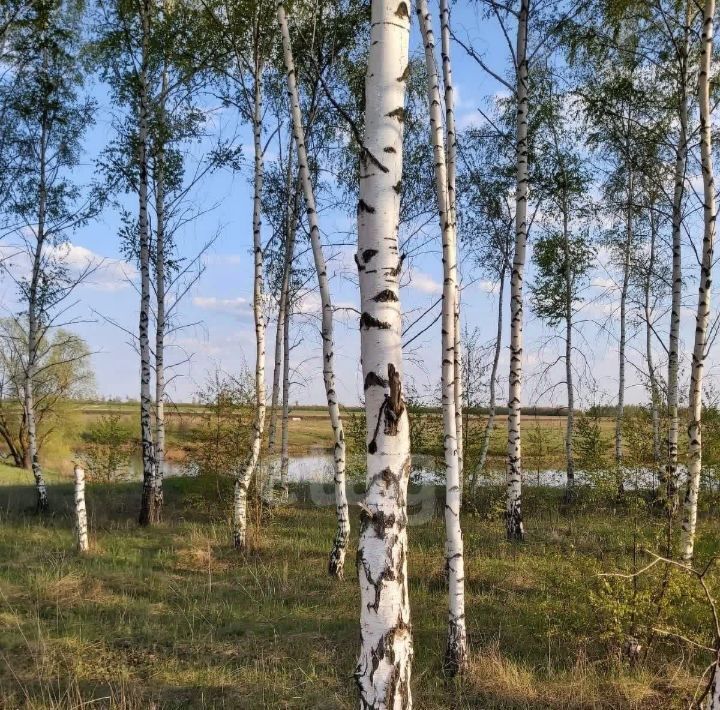 земля р-н Тамбовский с Малиновка 1-я, ул. Панорамная, 71 фото 2