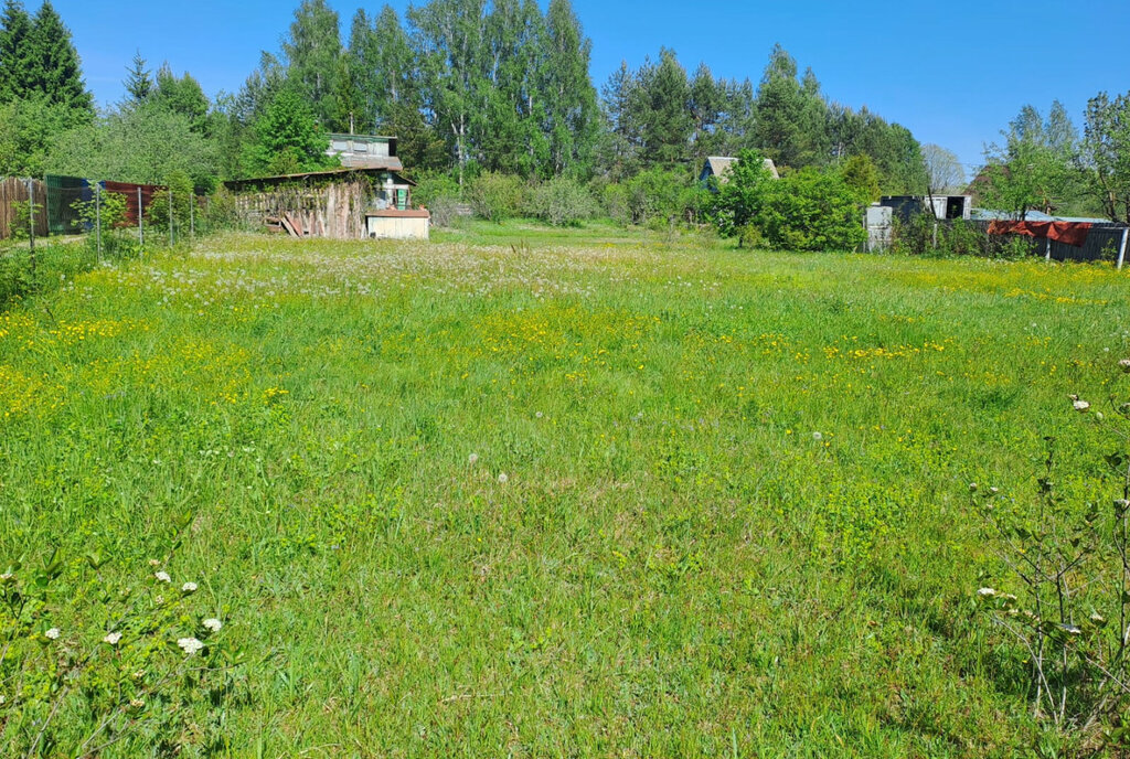 земля р-н Калининский д Курово Никулинское сельское поселение фото 3