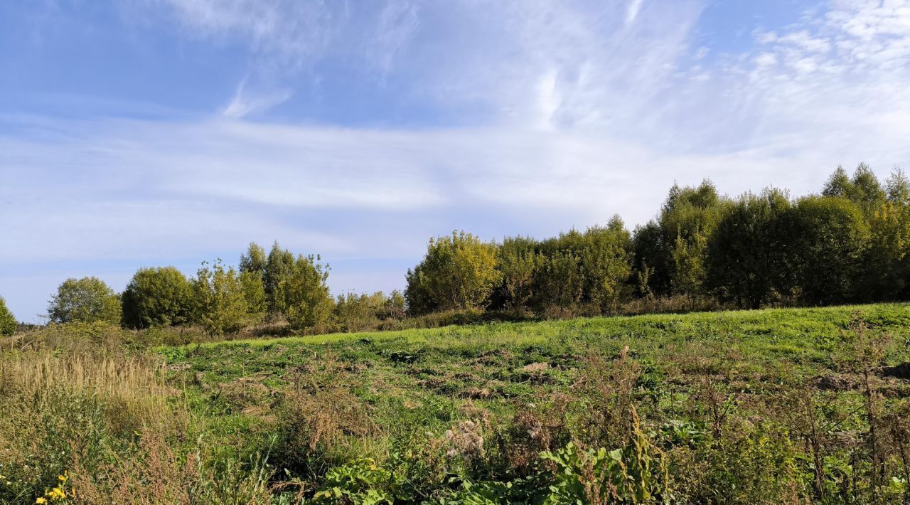 офис городской округ Лотошино д Володино фото 2