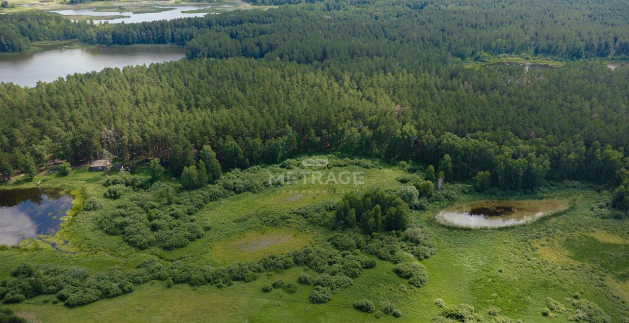 земля р-н Ордынский рп Ордынское озеро Пивочное фото 4