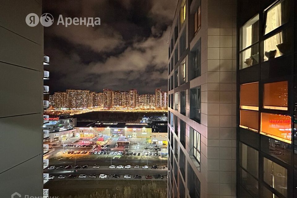 квартира г Санкт-Петербург п Парголово Выборгский, ст 1 проспект Энгельса, Толубеевский проезд, 8 к фото 8