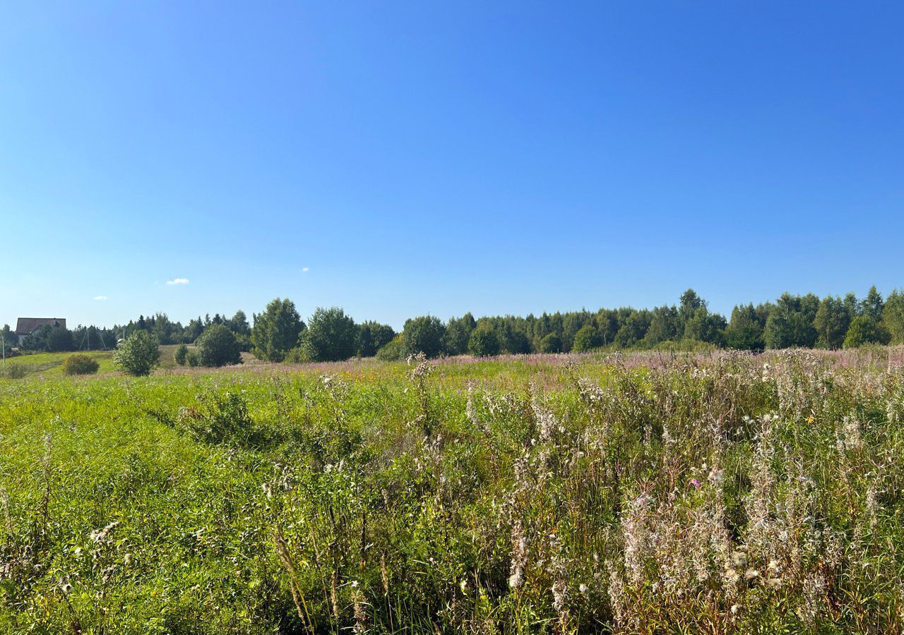 земля городской округ Подольск 24 км, д. Пузиково, Симферопольское шоссе фото 2