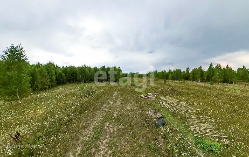 земля р-н Нижнетавдинский посёлок Торгили фото 4