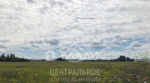 Толмачевский сельсовет, ул. Бригадная фото