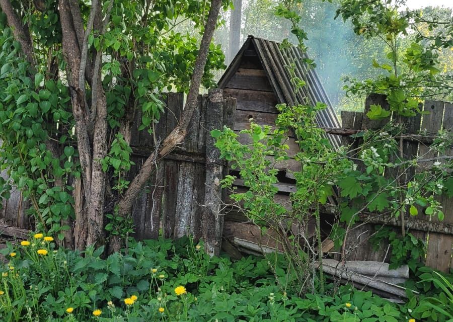 дом р-н Солецкий д Невское ул Невская фото 2