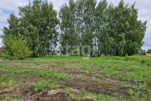 Тула городской округ, Федоровка фото