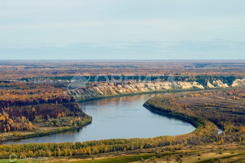 земля р-н Вагайский фото 4