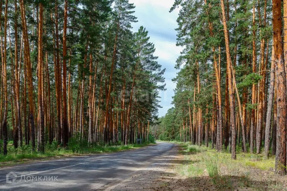 земля р-н Еткульский Еткуль фото 3