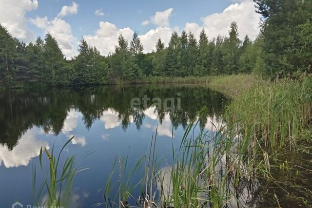 городской округ Тверь, СТ Бор фото