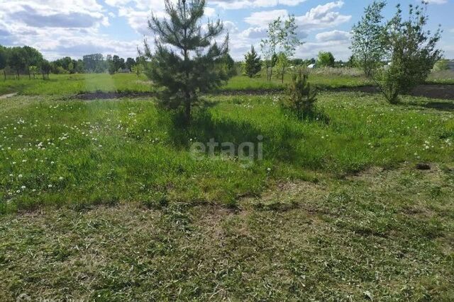 городской округ Барнаул, СНТ Михайловское фото