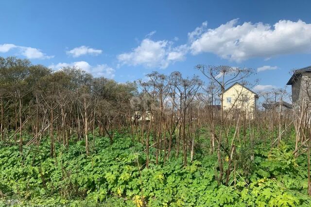 Южно-Сахалинск городской округ, Новая Деревня, улица Спасская, 9 фото