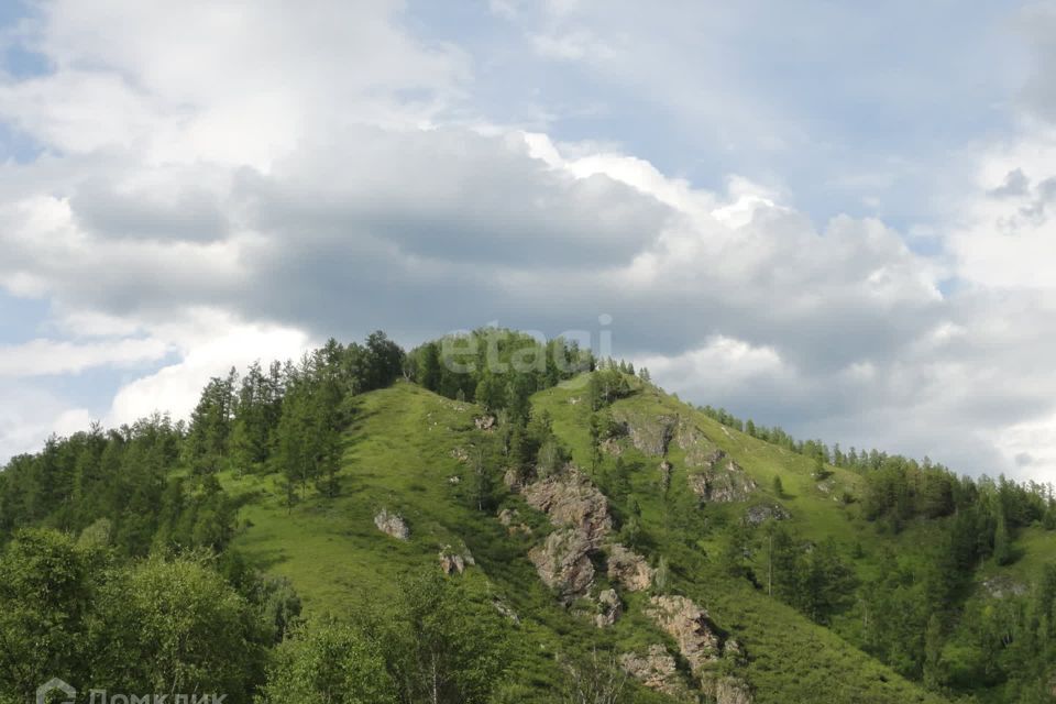 земля р-н Чемальский Анос фото 1