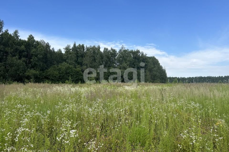 земля Тула городской округ, Кишкино Центральный то фото 2