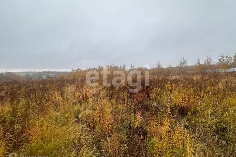 земля Тула городской округ, Федоровка фото 4