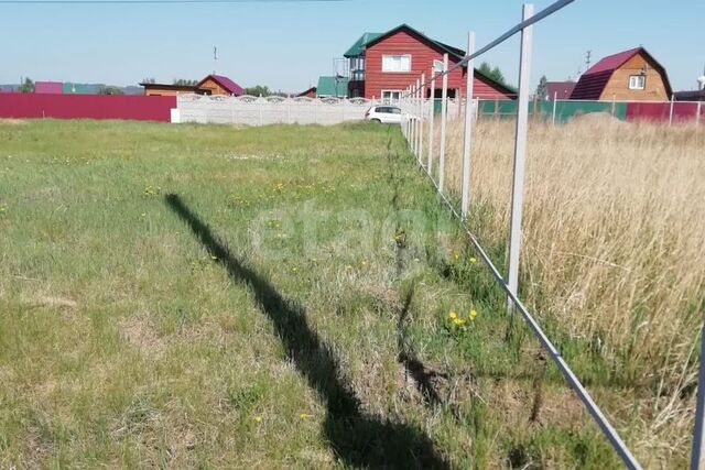 р-н Октябрьский Красноярск городской округ, Серебряный Бор фото