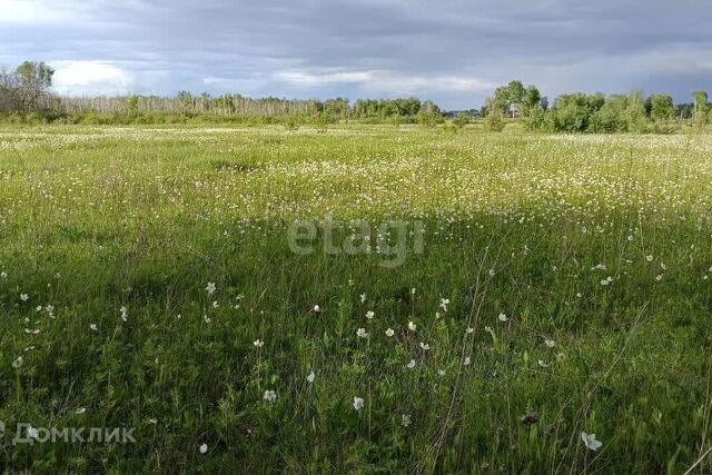 п Роща улица Калиновая, 19, Березовский район, ДНТ Берёзовая фото