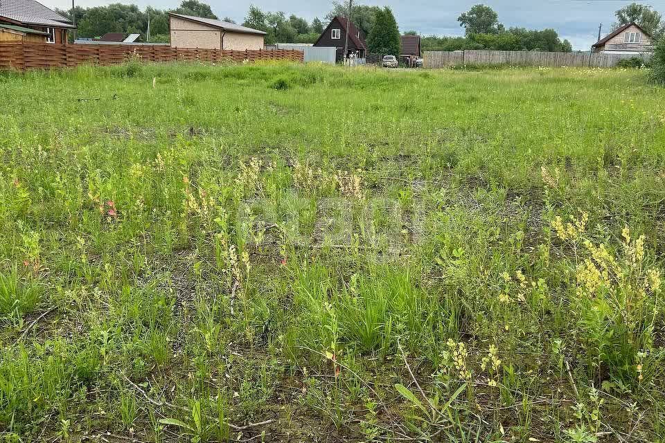 земля р-н Березовский ДНТ Лазурные берега фото 1