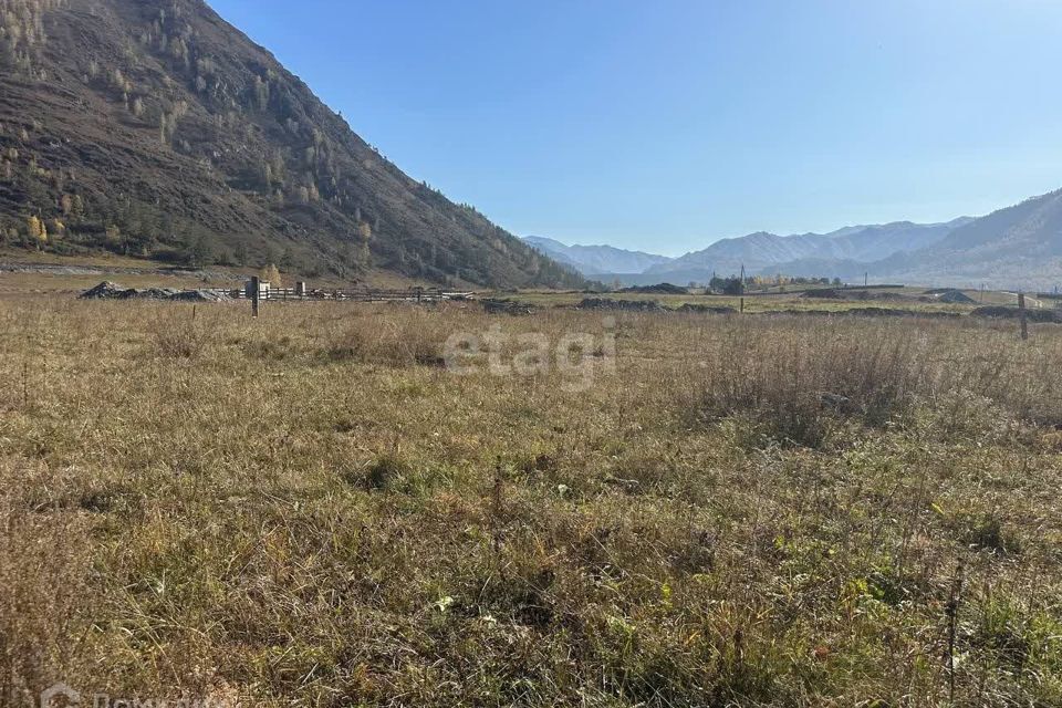 земля р-н Чемальский Чемал фото 1