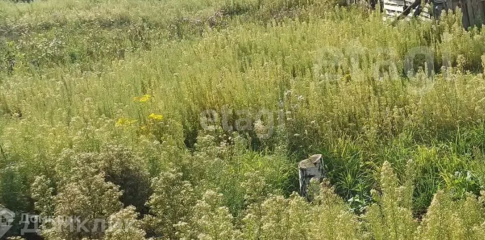 земля г Краснокамск д Новоселы ул Молодежная 11 Краснокамский городской округ фото 3