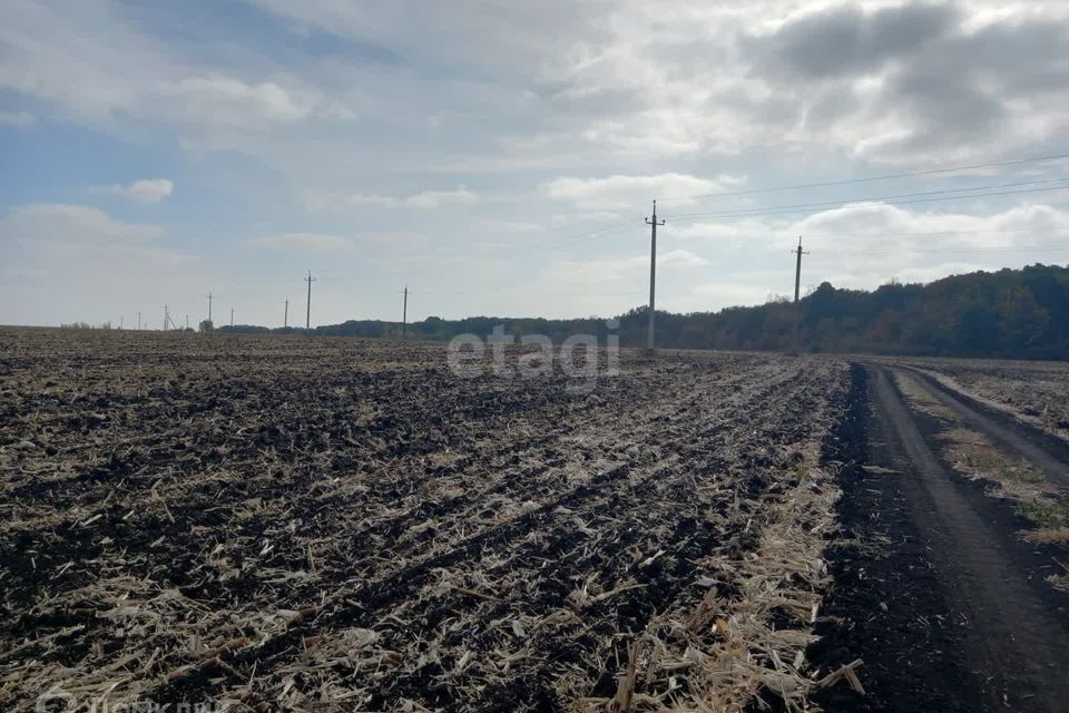 земля р-н Губкинский Губкин фото 4