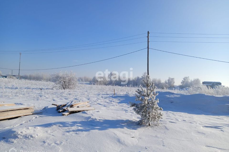 земля городской округ Сосновоборск, Сосновоборск фото 3