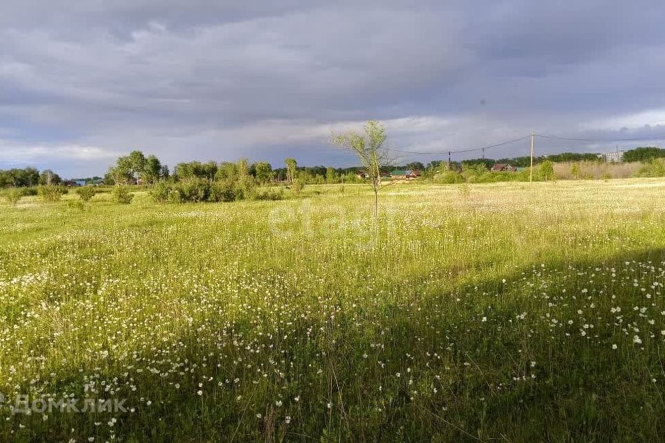 земля р-н Березовский ДНТ Берёзовая роща фото 4