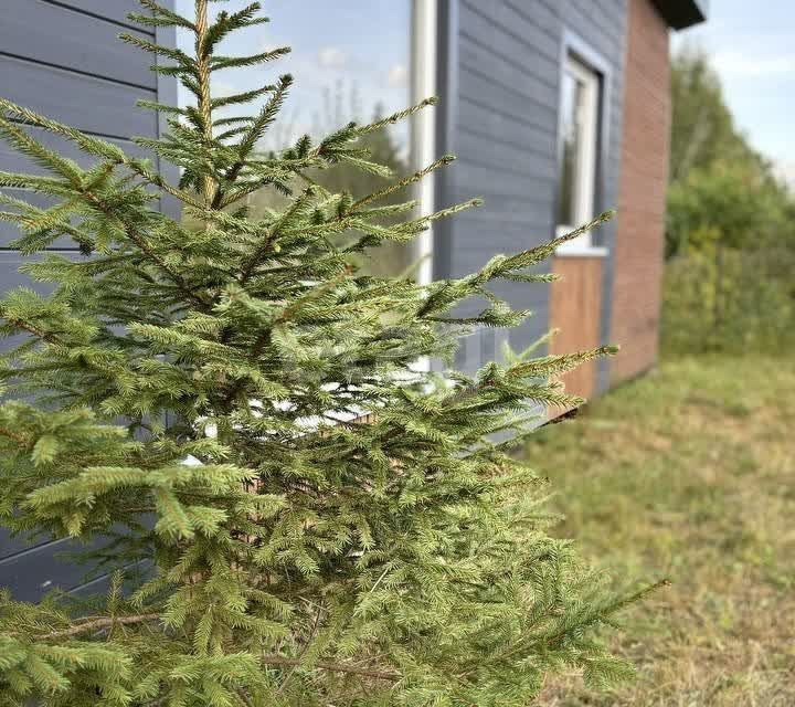 дом Калуга городской округ, СНТ Флора фото 4