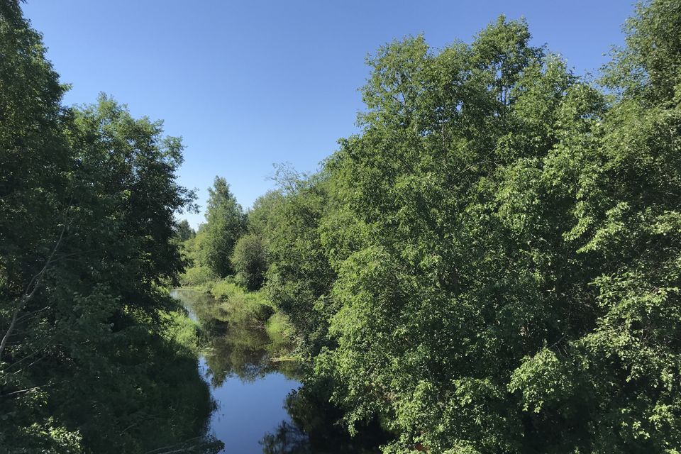 земля р-н Маловишерский деревня Поддубье фото 3