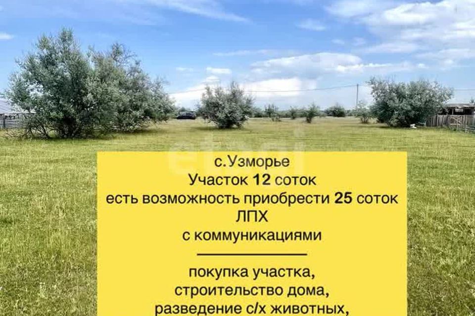 земля р-н Энгельсский Узморье фото 3