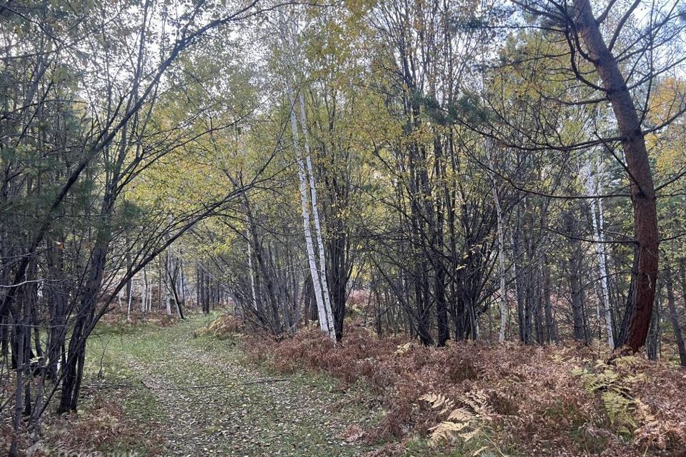 земля р-н Шелеховский п Чистые Ключи Култукский тракт фото 1