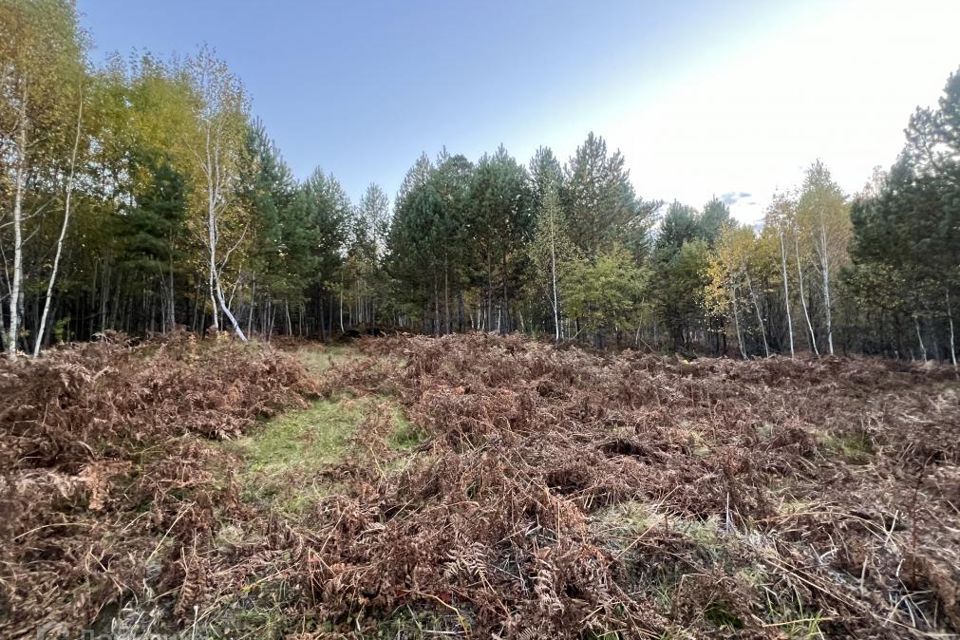 земля р-н Шелеховский п Чистые Ключи Култукский тракт фото 4