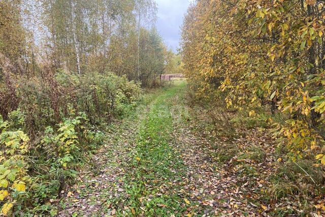 пл Советская городской округ Ржев фото