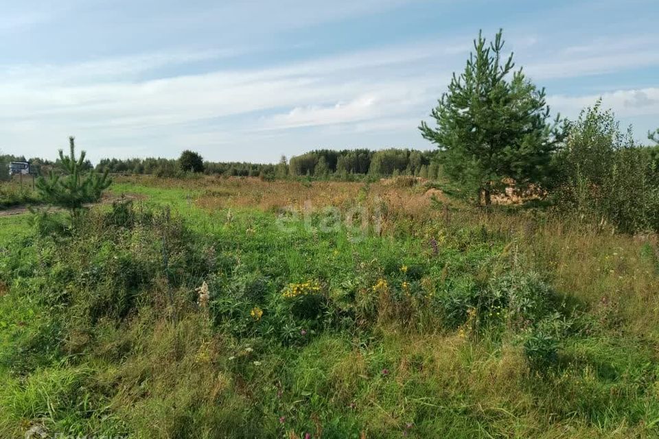 земля р-н Ковровский п Доброград ул Хвойная фото 1