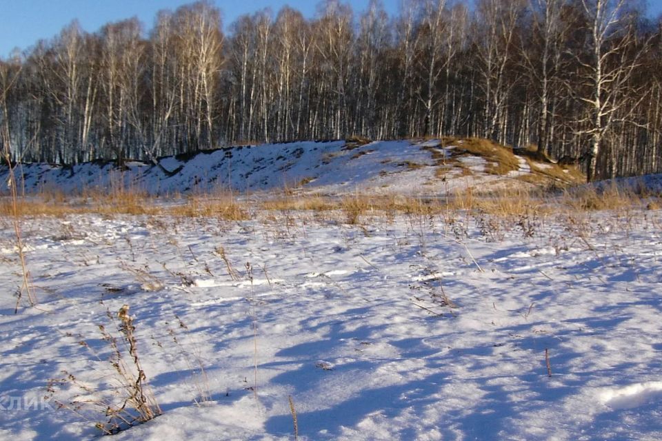 земля р-н Лихославльский фото 3