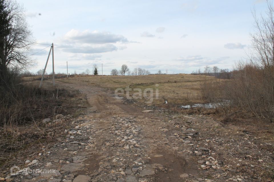 земля р-н Осташковский г Осташков Парк Свободы фото 3