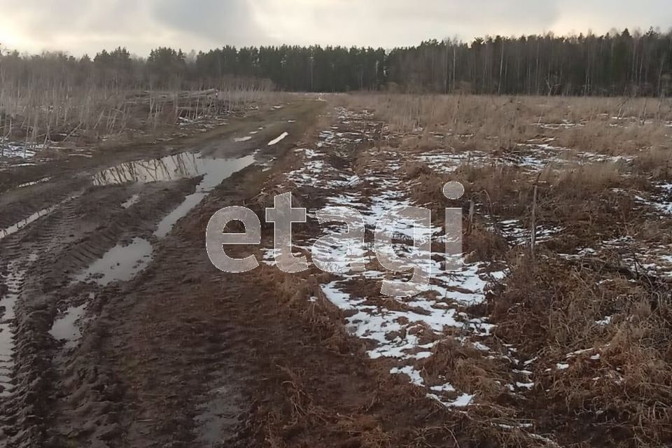 земля р-н Калининский Заречье Кулицкое сп фото 4