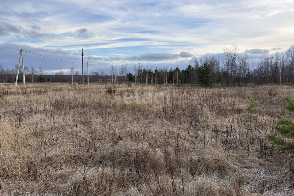 земля р-н Ковровский фото 2