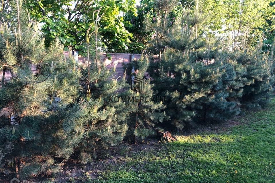 дом Нижний Новгород городской округ, сельский посёлок Новинки, Окская, 1 фото 7