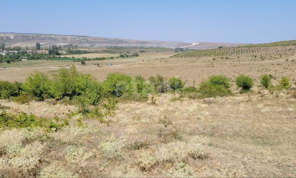 земля г Судак с Грушевка ул Заречная Судак городской округ фото 9